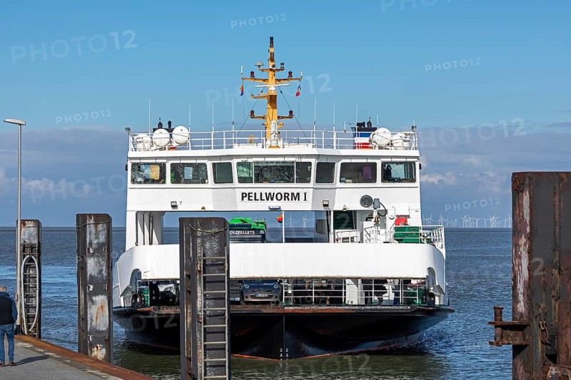 Pellworm ferry arrives, harbour, Strucklahnungshörn, Nordstrand, North Frisia, Schleswig-Holstein, Germany, Europe