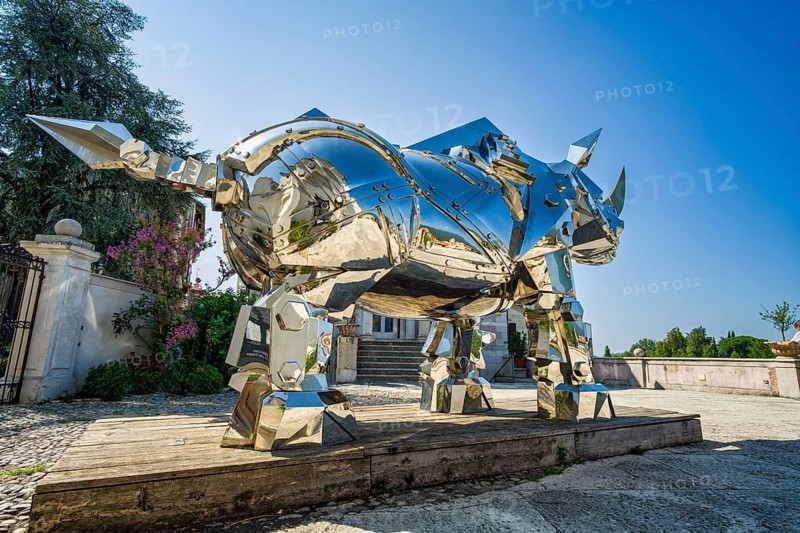 King Kong Rhino, steel sculpture, Palazzo Sturm, Bassano del Grappa, Veneto, Italy, Europe