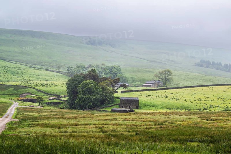Farms in Yorkshire Dales National Park, North Yorkshire, England, United Kingdom, Europe