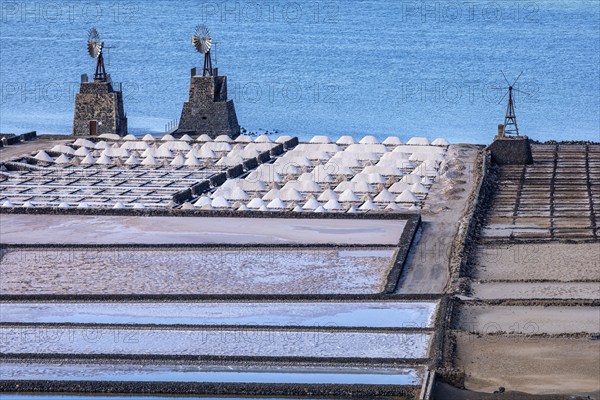 Salt fields with windmills on the coast, arranged in rectangular basins, Canary Islands, Lanzarote, Spain, Europe