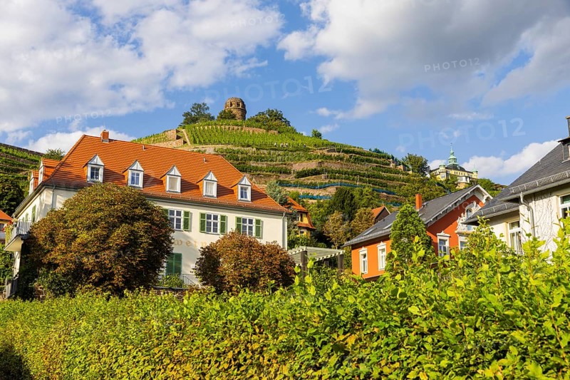 Weingut am Goldenen Wagen. The Spitzhaus is a former summer residence in the Saxon town of Radebeul. The building, which can be seen from afar, is located on the edge of the slope of the Elbe valley basin above Hoflößnitz in the Oberlößnitz district. Even after its renovation and reopening in 1997, the heritage-protected (1) landmark of Radebeul at Spitzhausstraße 36 still serves as an excursion restaurant with a sweeping view over the Elbe valley and as far as Dresden, vineyards in Radebeul, Radebeul, Saxony, Germany, Europe