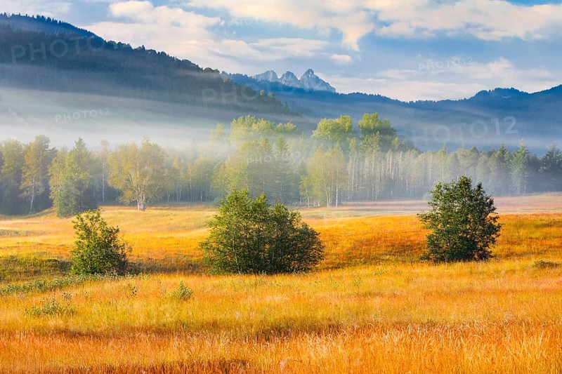 View over the Rothenthurm upland moor in autumn with the Mythen mountain peaks in the background, Canton Schyz, Switzerland, Europe