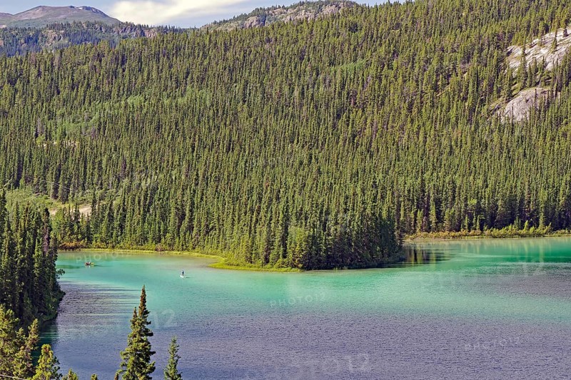 Paddlers on turquoise green lake on wooded slopes, summer, Emerald Lake, Yukon Territory, Canada, North America