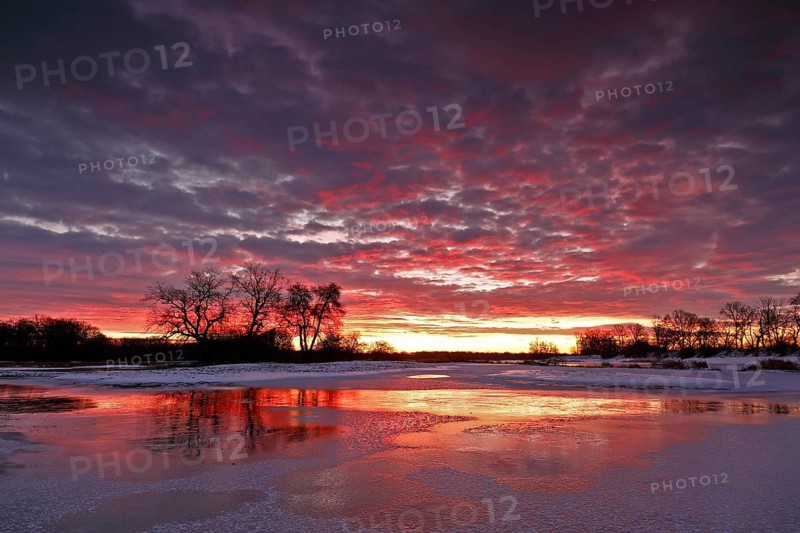 Winter floods 2024 on the Elbe and Mulde rivers with flooding of the meadows, ice on the meadows due to flooding in winter, morning mood in the Elbe floodplain, Middle Elbe Biosphere Reserve, Dessau-Roßlau, Saxony-Anhalt, Germany, Europe