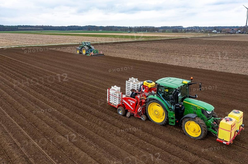 Early potatoes are laid in the soil of the field with a planting machine, tractor with roundabout harrow prepares the soil, agriculture, spring
