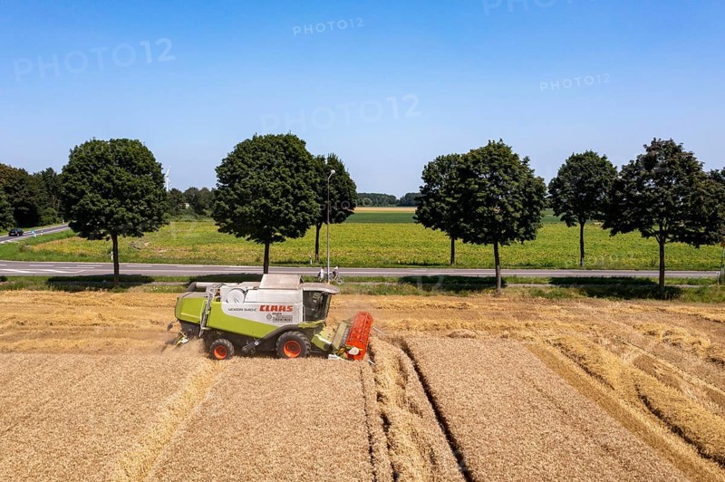 Agriculture, grain harvest, wheat, combine harvester harvesting in a wheat field, near Niederkrüchten, North Rhine-Westphalia, Germany, Europe