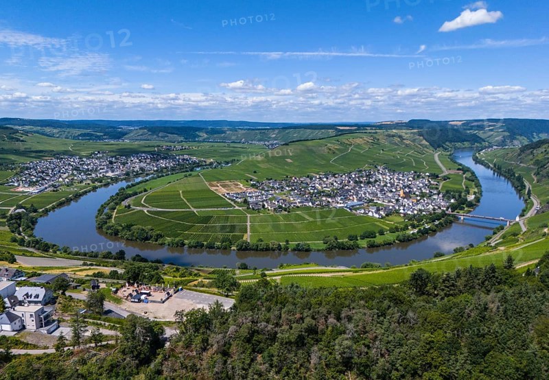 Panoramic view of a winding river surrounded by vineyards and a village with blue sky and clouds in the background, aerial view, Moselle, Moselschleife, Leiwen, view of Trittenheim, Trier-Saarburg, Rhineland-Palatinate, Germany, Europe