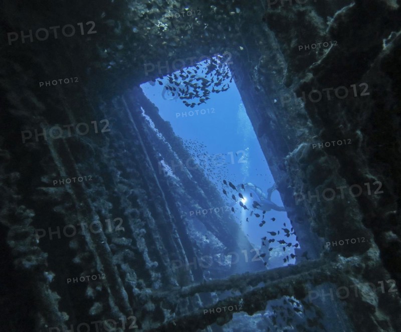School of fish and divers in the wreck of the Carnatic, Red Sea, Egypt, Africa