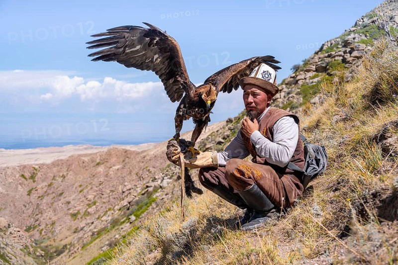 Traditional Kyrgyz eagle hunter with eagle in the mountains, near Kysyl-Suu, Kyrgyzstan, Asia