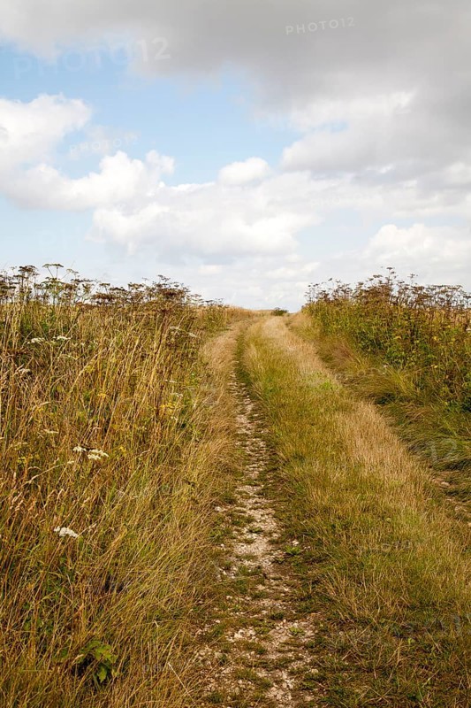 Uphill section of the ancient Ridgeway pathway crossing chalk downland near Liddington Castle, Wiltshire, England, UK