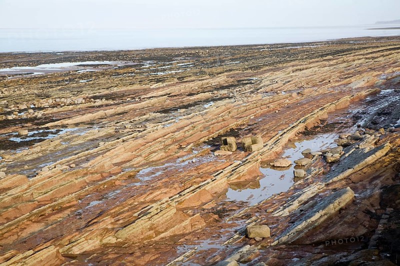 Rocky wave cut platform exposed at low tide, Watchet, Somerset, England, United Kingdom, Europe