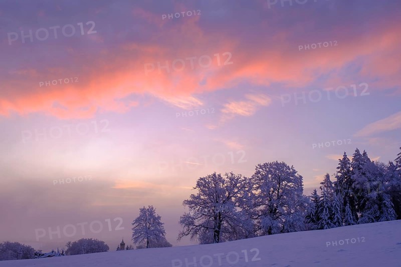 Sunrise with hoarfrost in winter, at the Schlossberg, Eurasburg, Loisachtal, Upper Bavaria, Bavaria, Germany, Europe
