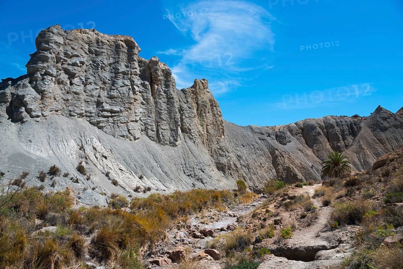Barren desert landscape with rugged rocks, flowering vegetation and a bright blue sky, Oasis de Lawrence de Arabia, Oasis, Tabernas Desert, Desierto de Tabernas, Tabernas, Almeria, Andalusia, Spain, Europe