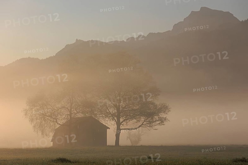 Wooden hut and trees in the fog in front of mountains, morning light, view of Benediktenwand, Loisach-Lake Kochel-Moore, Bavaria, Germany, Europe
