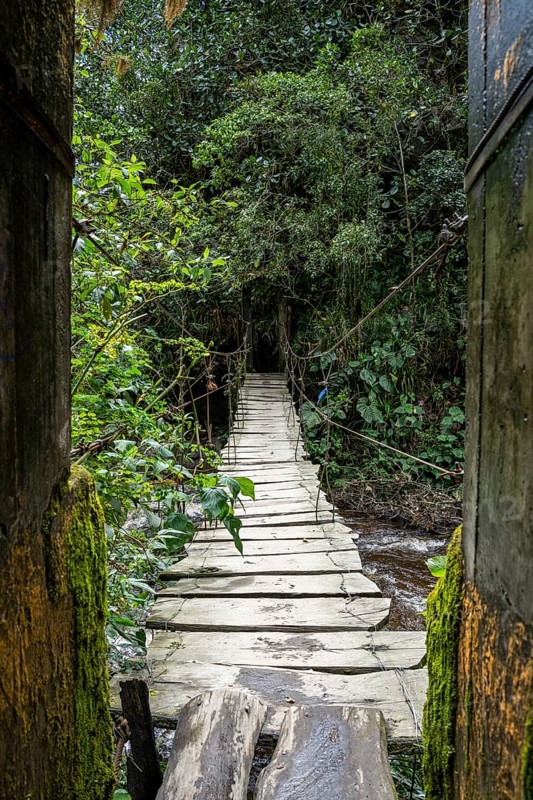 Suspension bridge along the Cocora Valley hiking trail, Cocora Valley, Salento, Quindio, Colombia, South America