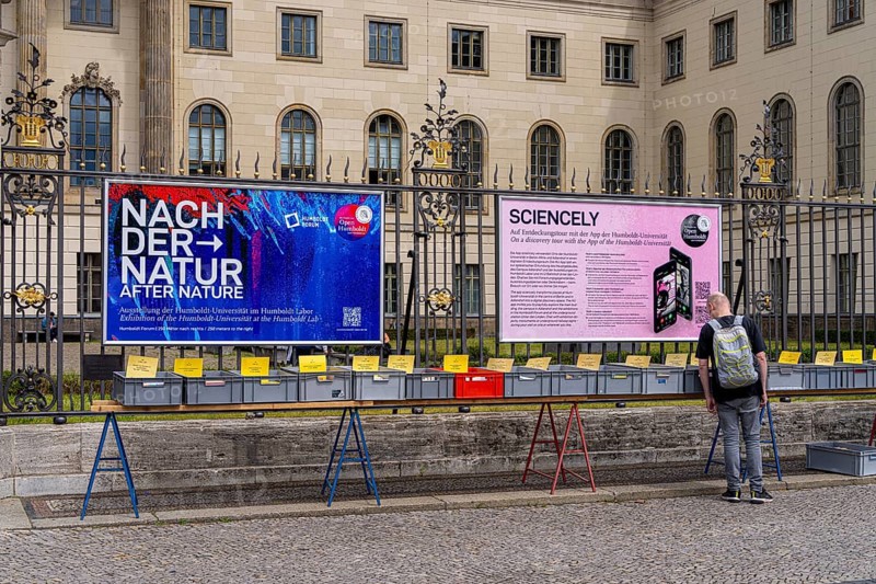 Tourists at the flea market stall in front of Humboldt University, Unter den Linden, Berlin, Germany, Europe