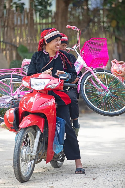 Vietnamese woman in traditional traditional costume from the Dao minority transport a pink bicycle on a moped, Nam Dam Dao Cultural Village, Ha Giang province, Vietnam, Asia