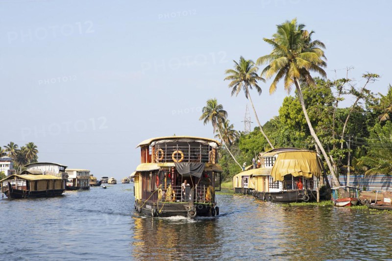Traditional houseboats on a canal in the canal system of the backwaters, Kerala, India, Asia