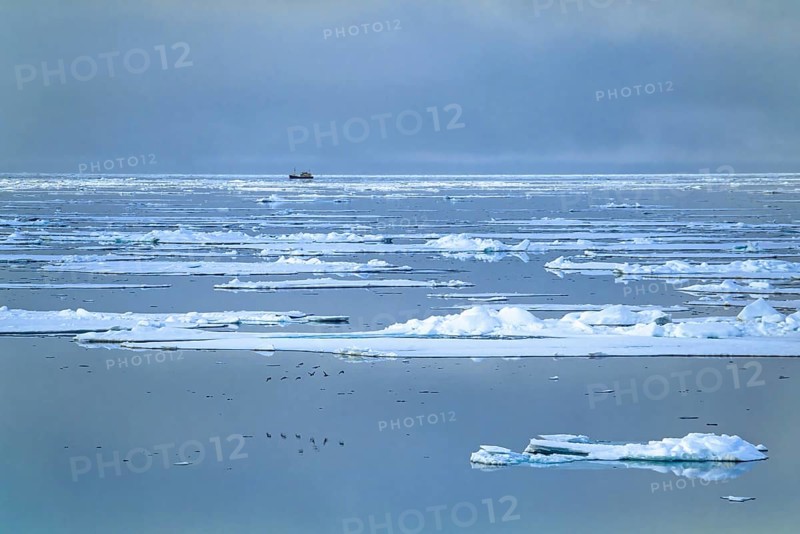 Ship traveling at the horizon at Arctic Ocean among melting ice floes in low light at a summer night, Svalbard