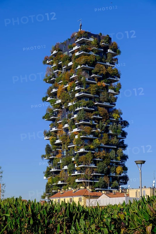 Bosco Verticale, twin tower, green tower block with trees and shrubs, high-rise buildings, skyscrapers, Porta Nuova district, Milan, Lombardy, Italy, Europe