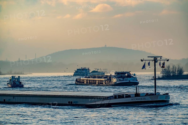 Cargo ships on the river Rhine near Duisburg-Bruckhausen, Rheinpreußen spoil tip, winter, Duisburg, North Rhine-Westphalia, Germany, Europe