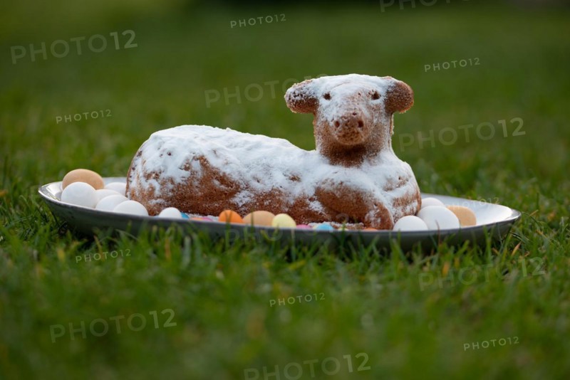 A cake dusted with icing sugar shows an Easter lamb surrounded by eggs on a plate, Germany, Europe