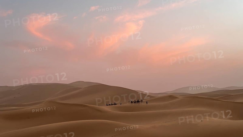Sunset in the desert, camels and tourists, dunes, Erg Chebbi, Sahara, Merzouga, Morocco, Africa