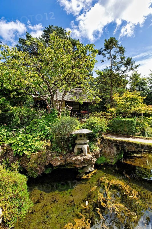 Japanese garden with stone lantern, Irish National Stud and Gardens, The Irish National Stud & Gardens, Tully, Kildare, Ireland, Europe