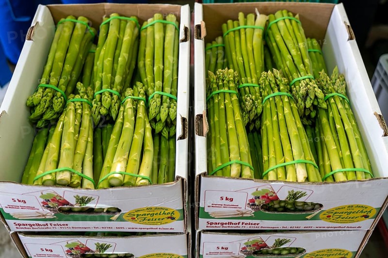 Asparagus farm, green asparagus is washed, cut and sorted by quality after harvesting, near Dormagen, Rhineland, North Rhine-Westphalia, Germany, Europe