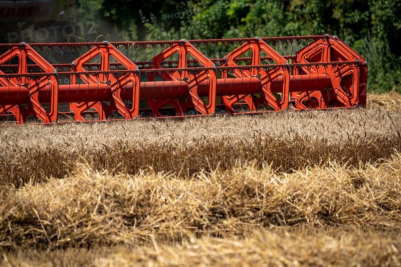 Agriculture, grain harvest, wheat, combine harvester harvesting in a wheat field, near Niederkrüchten, North Rhine-Westphalia, Germany, Europe