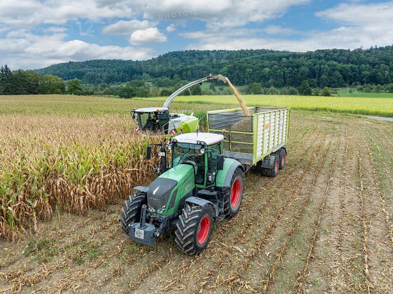 A Fendt 826 tractor with silage transport wagon drives next to a forage harvester to load chopped maize, maize harvest, silage, forage maize, forage for dairy cows, energy production, aerial view, Constance district, Baden-Württemberg, Germany, Europe