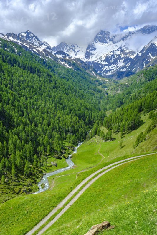 Mountain landscape in the Passeier Valley near Rabenstein above moss in Passeier, South Tyrol, Italy, Europe