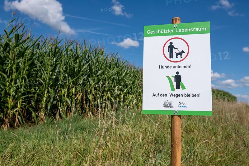 Sign for dog owners that they should stay on the paths and that dogs must be kept on a lead.NABU, animal welfare, fields, maize field, protected habitat, meadow, Baden-Württemberg, Germany, Europe