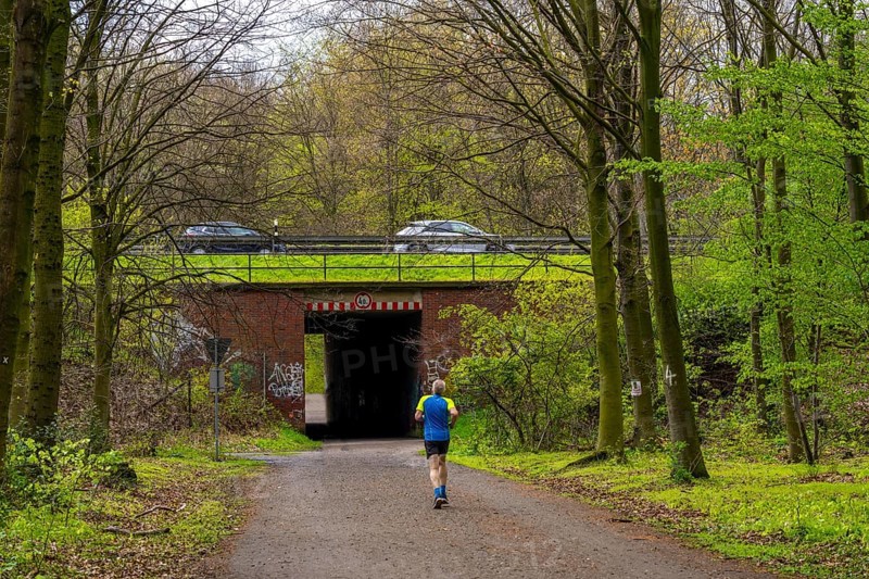 The Sterkrader Wald in Oberhausen, at the Oberhausen motorway junction, where the A2/A3A/A516 meet, it is to be expanded, 11 hectares of forest, around 5, 000 trees are to be felled for this, strong resistance to the plans has formed in the region, #Sterkibleibt, North Rhine-Westphalia, Germany, Europe