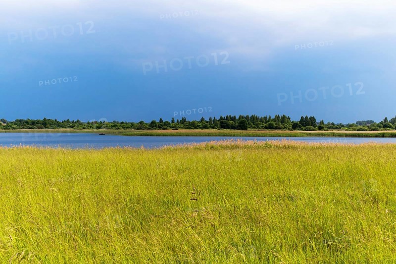 Rural landscape with lake and group of trees on the other side