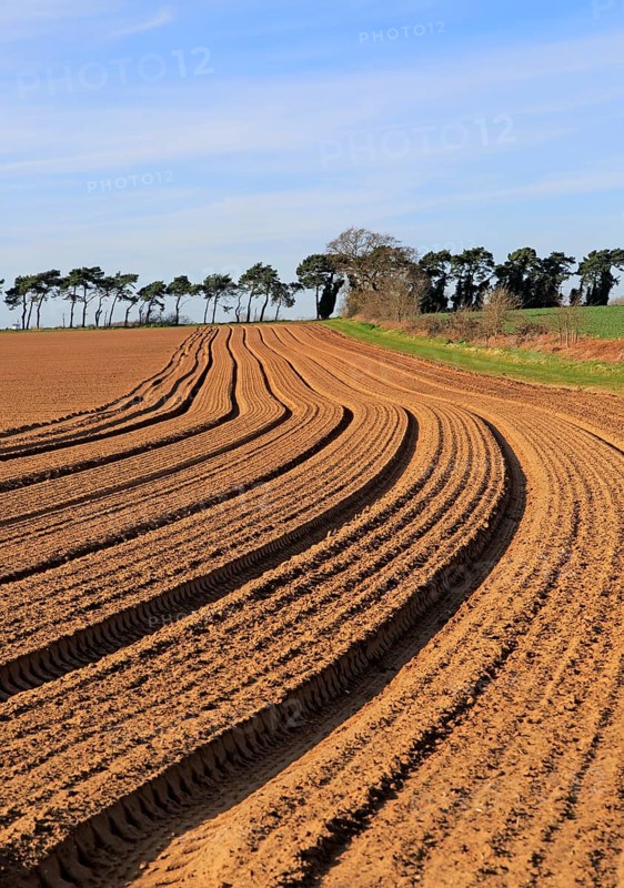 Lines in field brown soil ready for cultivation, Shottisham, Suffolk, England, UK