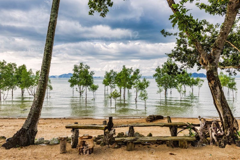 Trees in the water on a flooded stretch of beach on the island of Koh Yao Noi, water level, climate change, scenarios, weather, extreme weather, dramatic, gloomy, threatening, scenario, weather warning, severe weather, severe weather warning, climate, world climate, water level, flood, sea, sea level, nature, force of nature, natural spectacle, natural disaster, coast, coastal landscape, beach, scenery, tree, clouds, cloudy, future, future scenario, Thailand, Asia
