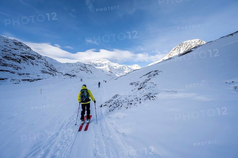 Ski tourers ascending in the rear Martell Valley, snow-covered mountain peak Monte Cevedale behind, Ortler Alps, Vinschgau Valley, Italy, Europe