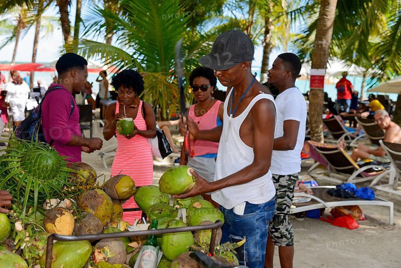 People buying fresh coconuts on a busy beach under palm trees, Boca Chica, Santo Domingo Province, Dominican Republic, Hispaniola, Caribbean, America, Central America