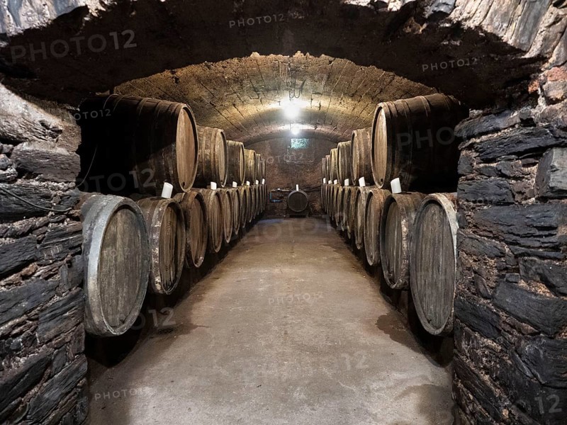 Oak wine barrels in the cellar of a winery, wine cellar, Bernkastel-Kues, Moselle, Rhineland-Palatinate