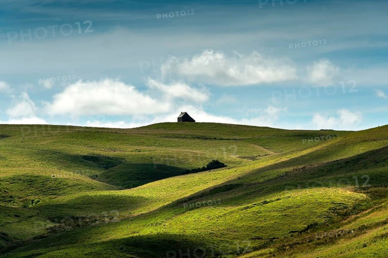 Isolated farm called buron on the Cezallier plateau in the Auvergne Volcanoes Regional Natural Park, Puy de Dome, Auvergne-Rhone-Alpes, France, Europe
