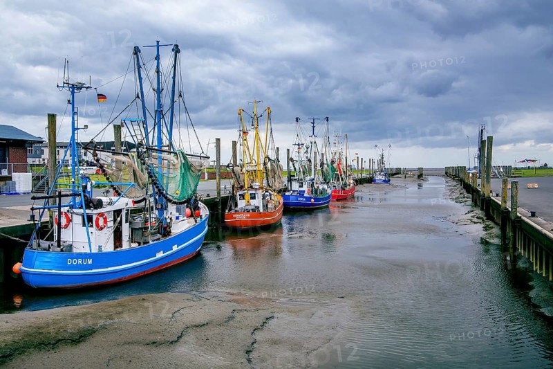 Harbour with shrimp boats at low tide, Dorum-Neufeld, Dorum, Wurster North Sea coast, Land Wursten, Cuxland, Lower Saxony, Germany, Europe