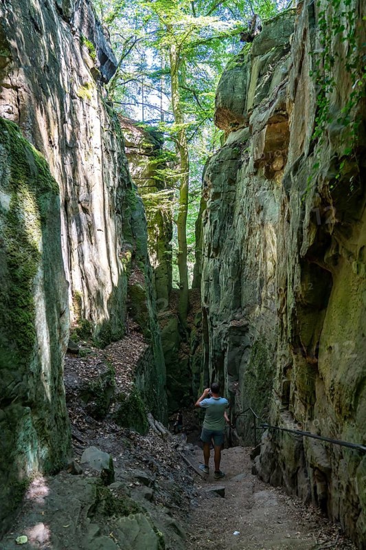 The Devil's Gorge, narrow, accessible gorge of sandstone rocks, with steep rocky gorges, near Irrel, Southern Eifel nature park Park, Rhineland-Palatinate, Germany, Europe