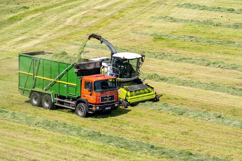 Hay harvest, on a Rhine meadow near Duisburg-Beeckerwerth, a forage harvester picks up the cut grass, which was piled up in strips after cutting, and loads it into a silage wagon, cattle feed, North Rhine-Westphalia, Germany, Europe