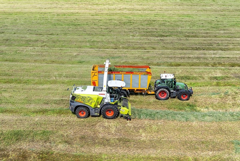 Hay harvest, on a Rhine meadow near Duisburg-Beeckerwerth, a forage harvester picks up the cut grass, which was piled up in strips after cutting, and loads it into a silage wagon, cattle feed, North Rhine-Westphalia, Germany, Europe