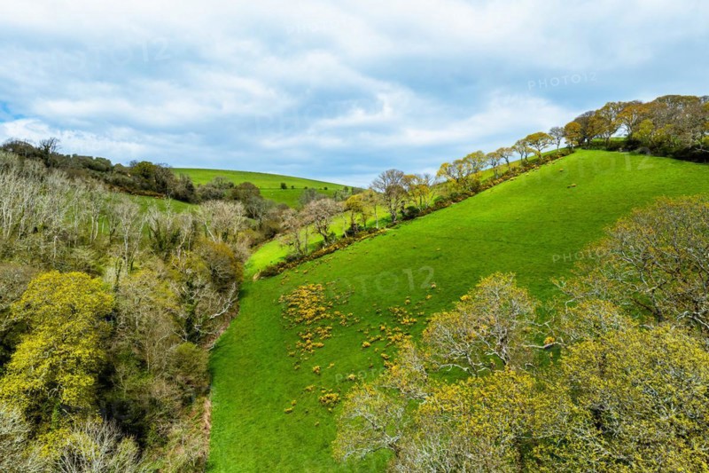 Forest, Farms and Farms over Long Wood and River Dart from a drone, Dartmouth, Kingswear, Devon, England, United Kingdom, Europe