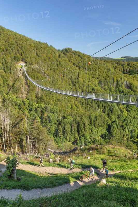 Blackforestline near Todtnau, Black Forest, Baden-Württemberg, Germany, Todtnau, Baden-Württemberg, Germany, Europe