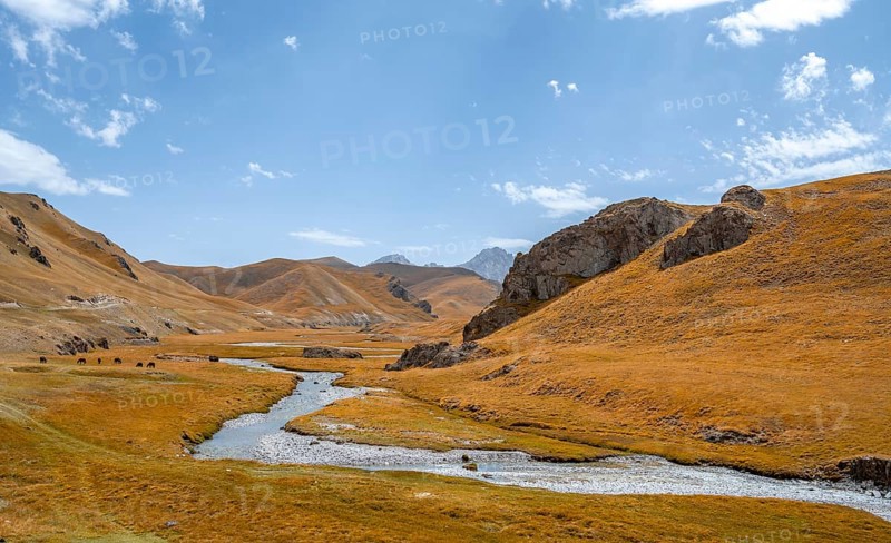River Kol Suu winds through a mountain valley with hills of yellow grass, Naryn Province, Kyrgyzstan, Asia