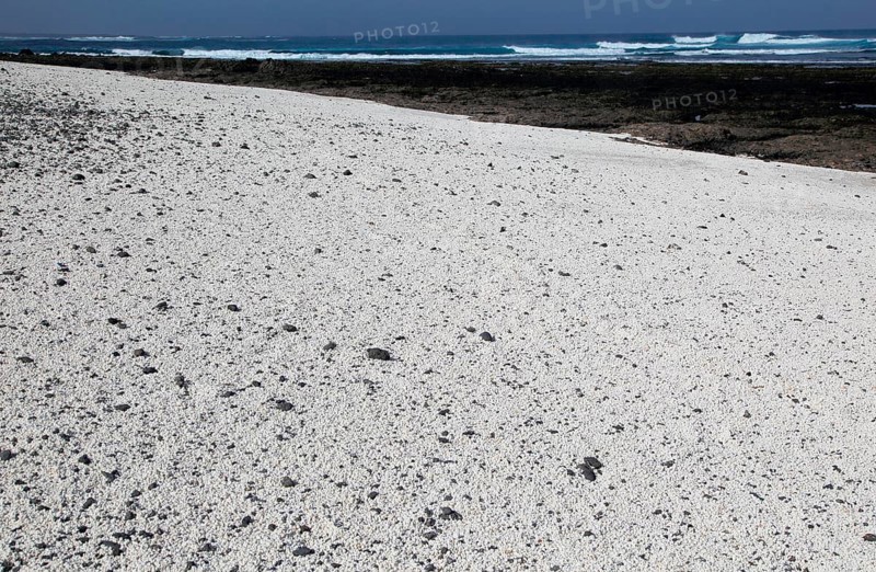 Beach of white crushed coral, near Corralejo on north coast of Fuerteventura, Canary Islands, Spain, Europe