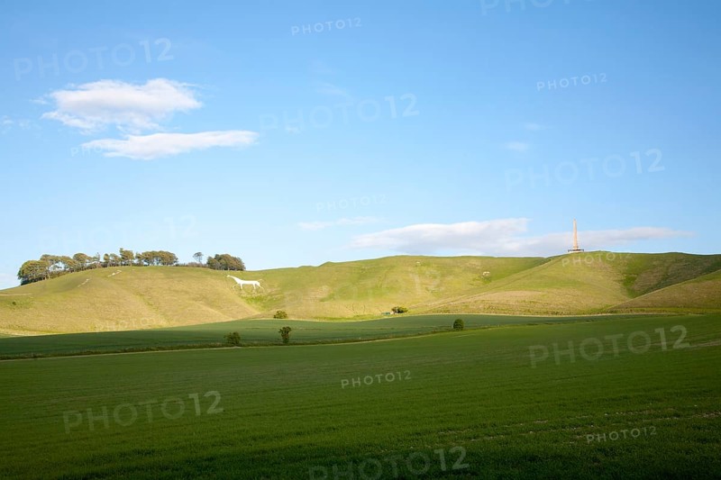Scarp slope of White Horse on Cherhill Down and Lansdowne monument, Cherhill, Wiltshire, England, United Kingdom, Europe